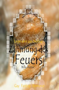 Zähmung des Feuers - Billy Remie - ebook