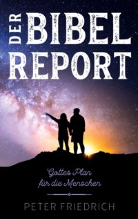 Der Bibelreport - Peter Friedrich - ebook