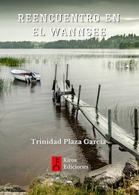 Reencuentro en el Wannsee - Trinidad García Plaza - ebook