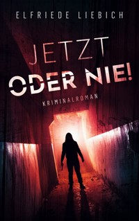 Jetzt oder nie! - Elfriede Liebich - ebook
