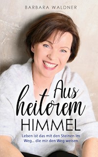 Aus heiterem Himmel - Leben ist das mit den Steinen im Weg - Barbara Waldner - ebook