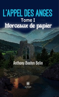 L’appel des anges - Tome 1 - Anthony Boehm-Belin - ebook
