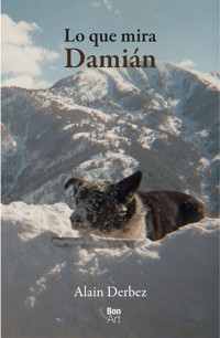 Lo que mira Damián - Alain Derbez - ebook
