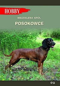 Posokowce - Król Magdalena - książka