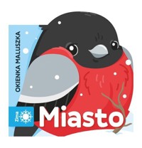 Okienka maluszka. Miasto - Natalia Kawałko-Dzikowska - książka