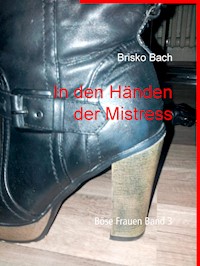 In den Händen der Mistress - Brisko Bach - ebook