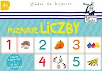 Kapitan Nauka Poznaję Liczby -  - książka