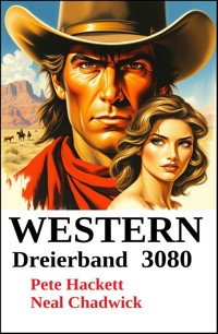 Western Dreierband 3080 - Neal Chadwick - ebook
