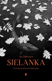 Sielanka - Ollikainen Aki - ebook + książka