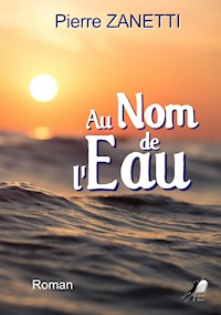 Au nom de l'eau - Pierre Zanetti - ebook