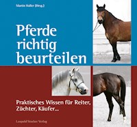 Pferde richtig beurteilen - Haller Martin - ebook