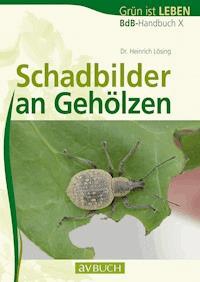 Schadbilder an Gehölzen - Dr. Heinrich Lösing - ebook