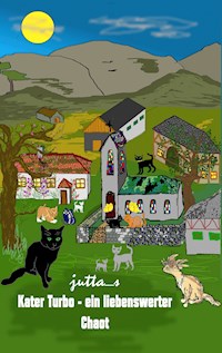 Kater Turbo - ein liebenswerter Chaot - jutta_s - ebook