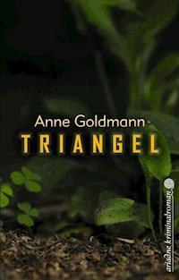 Triangel - Anne Goldmann - ebook