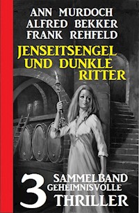 Jenseitsengel und dunkle Ritter: 3 Geheimnisvolle Thriller - Ann Murdoch - ebook