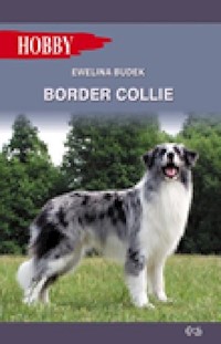 Border Collie - Budek Ewelina - książka