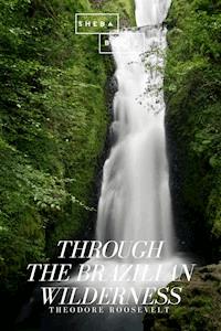 Through the Brazilian Wilderness - Theodore Roosevelt - ebook