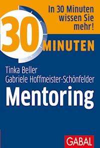 30 Minuten Mentoring - Tinka Beller - ebook