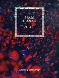 Pasaże - Bieszczad Maciej - książka