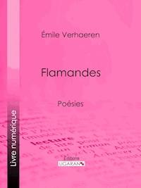 Flamandes - Ligaran - ebook