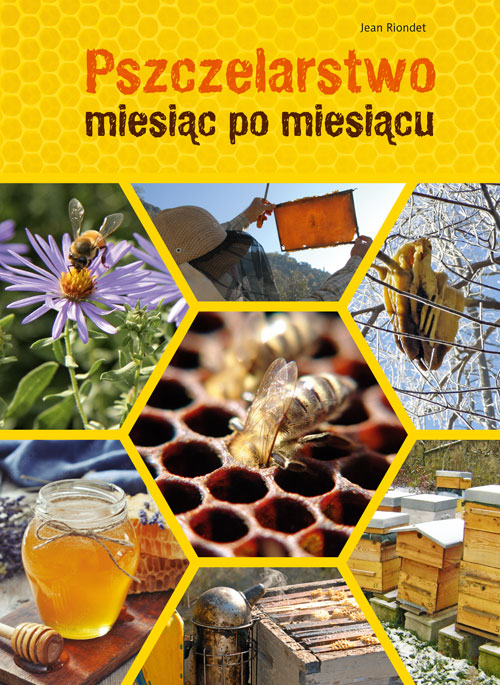 Pszczelarstwo miesiąc po miesiącu - Jean Riondet - książka