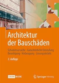 Architektur der Bauschäden - Joachim Schulz - ebook