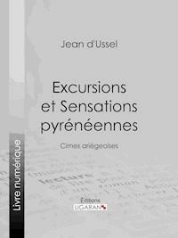 Excursions et Sensations pyrénéennes - Jean d'Ussel - ebook