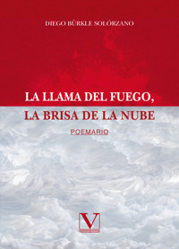 La llama del fuego, la brisa de la noche - Diego Bürkle Solórzano - ebook