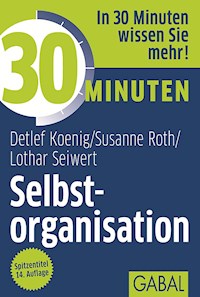 30 Minuten Selbstorganisation - Detlef Koenig - ebook