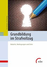 Grundbildung im Strafvollzug - Tim Tjettmers - darmowy ebook