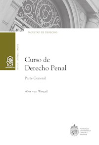 Curso de Derecho Penal - Alex van Weezel - ebook