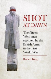 Shot at Dawn - Robert King - ebook