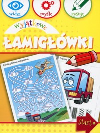 Wyjątkowe łamigłówki widzę myślę rysuję - Wiśniewska Anna - książka