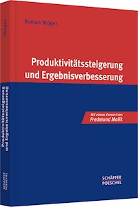 Produktivitätssteigerung und Ergebnisverbesserung - Roman Stöger - ebook
