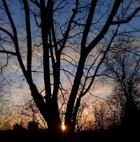 Anders Sein - Natascha Neumann - ebook