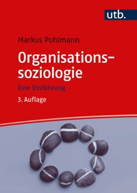 Organisationssoziologie - Markus Pohlmann - ebook
