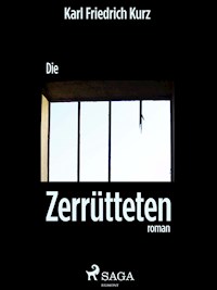 Die Zerrütteten - Karl Friedrich Kurz - ebook