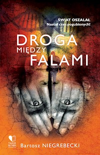 Droga między falami - Niegrebecki Bartosz - ebook + audiobook + książka