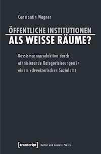 Öffentliche Institutionen als weiße Räume? - Constantin Wagner - ebook