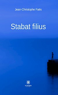 Stabat filius - Jean-Christophe Faës - ebook