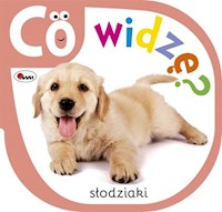Co widzę słodziaki - Kozera Piotr - książka