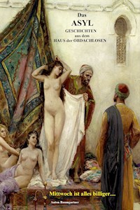 Das Asyl - Anton Baumgartner - ebook