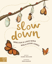 Slow Down - Rachel Williams - ebook