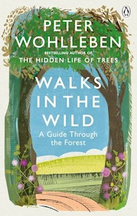 Walks in the Wild - Peter Wohlleben - książka