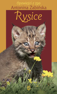 Rysice - Antonina Żabińska - książka