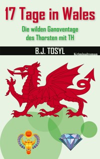 17 Tage in Wales - B.J. Tosyl - ebook