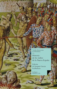 Historia de los indios de la Nueva España - Toribio de Benavente de Motolinía - ebook