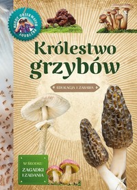 Królestwo grzybów - Będkowska Hanna - książka