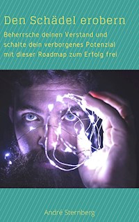 Den Schädel erobern - Andre Sternberg - ebook