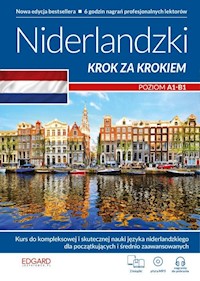 Niderlandzki Krok za krokiem - - książka